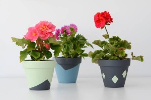 flower_pot_centrepiece_wedding_decor.jpg