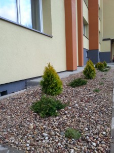 20150420_184747.jpg