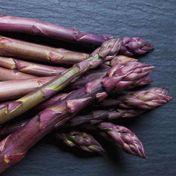 Erasmus smidrų šaknys (13 vnt.)