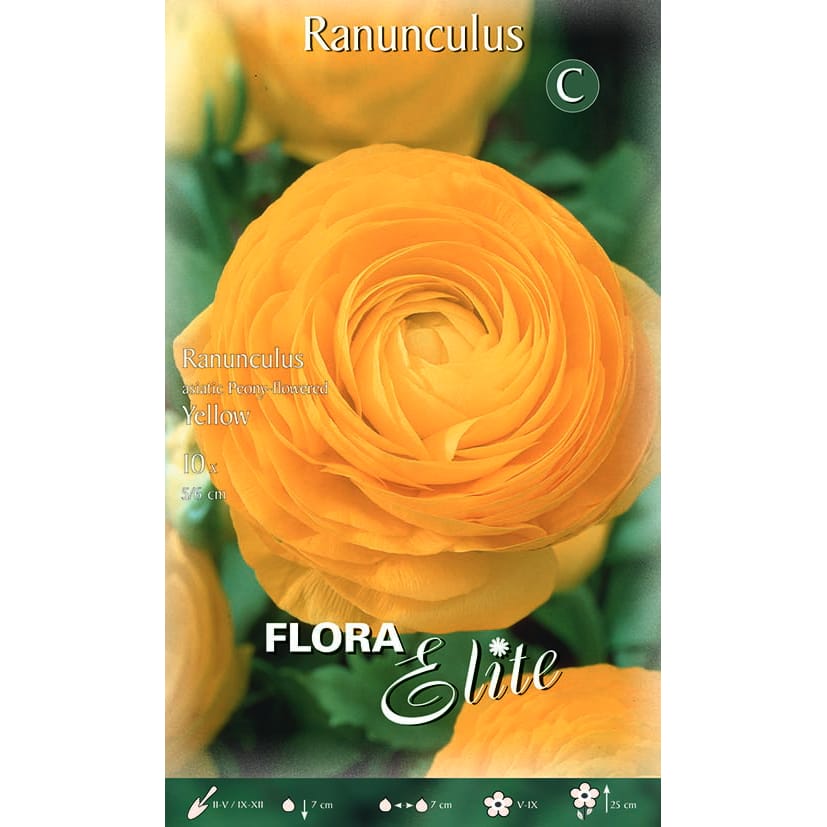 Vėdrynas ‘Yellow’ (10vnt)