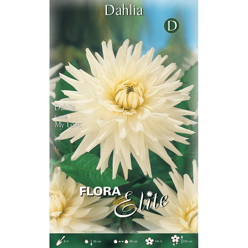 Jurginas ‘My Love’ (1vnt)