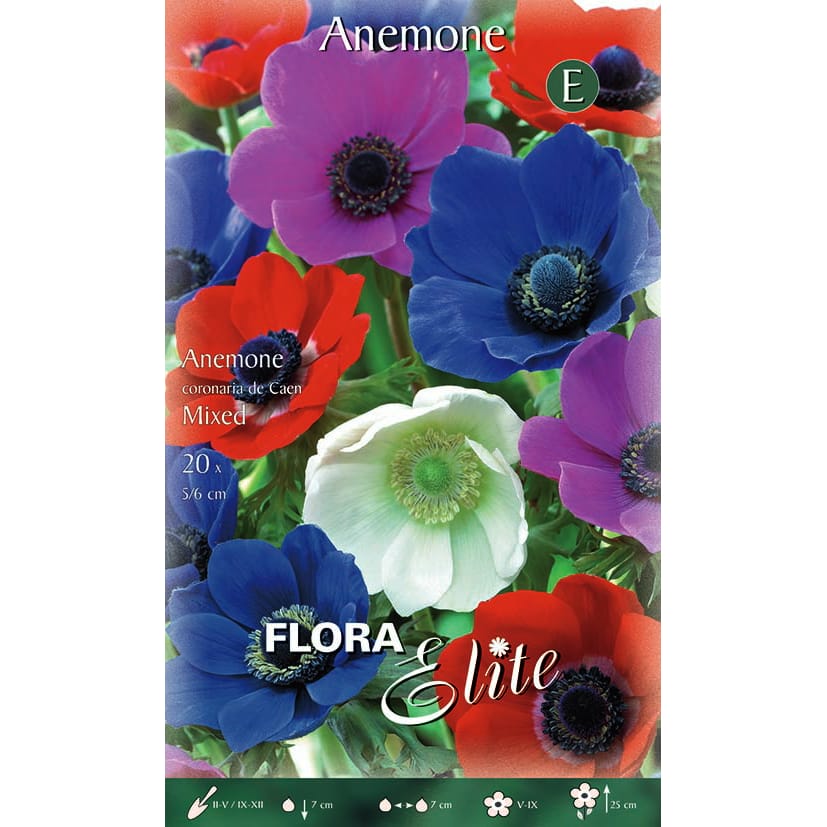 Plūkė ‘De Caen Mixed’ (20vnt)