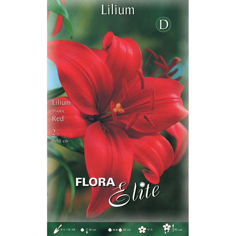 Lelija 'Red Asiatic' (2vnt)